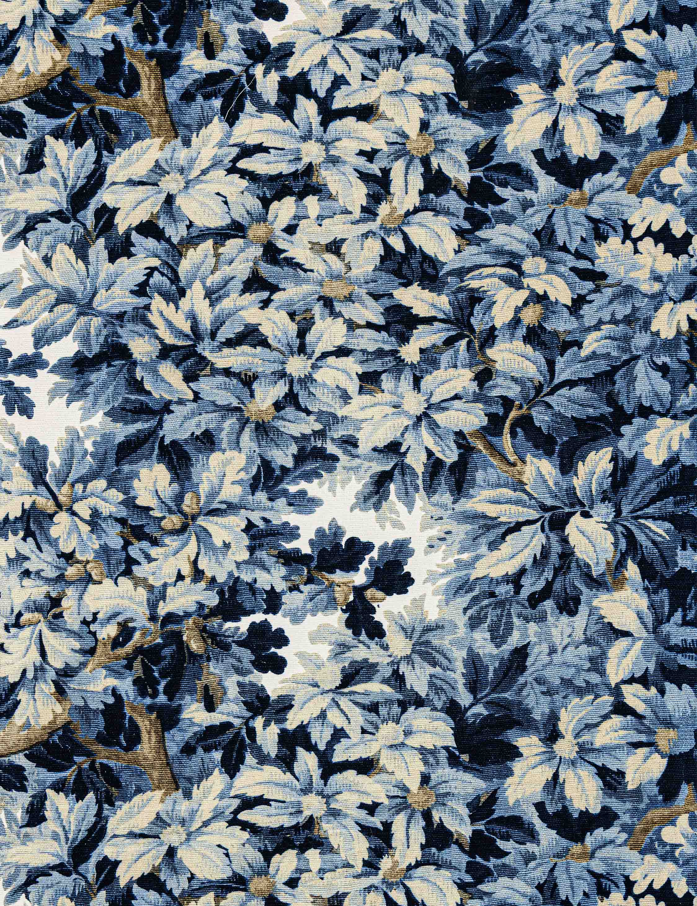 Bois de Chene Cotton Fabric by Scalamandré - Image 6