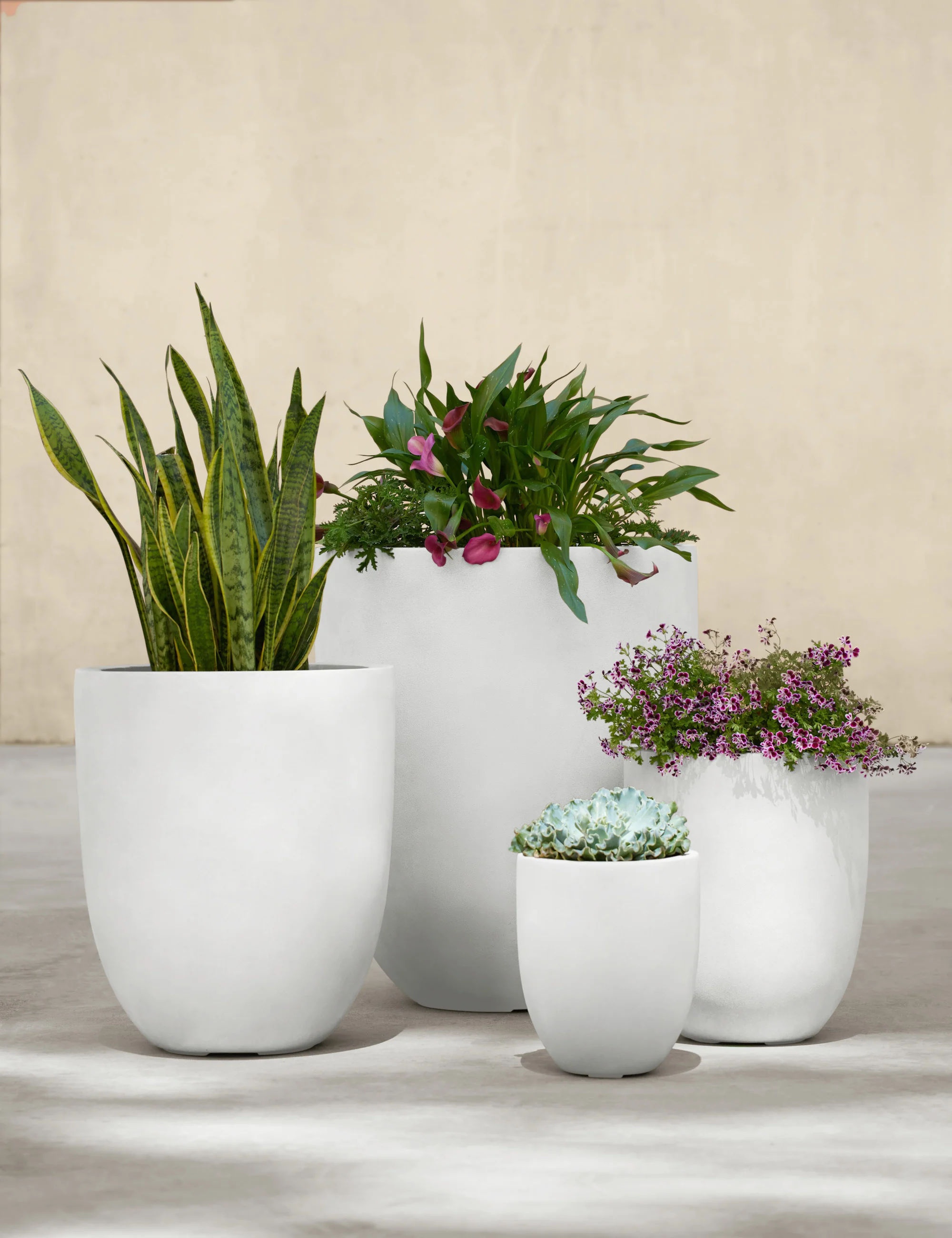 Bradford Planters by Campania International - Image 42