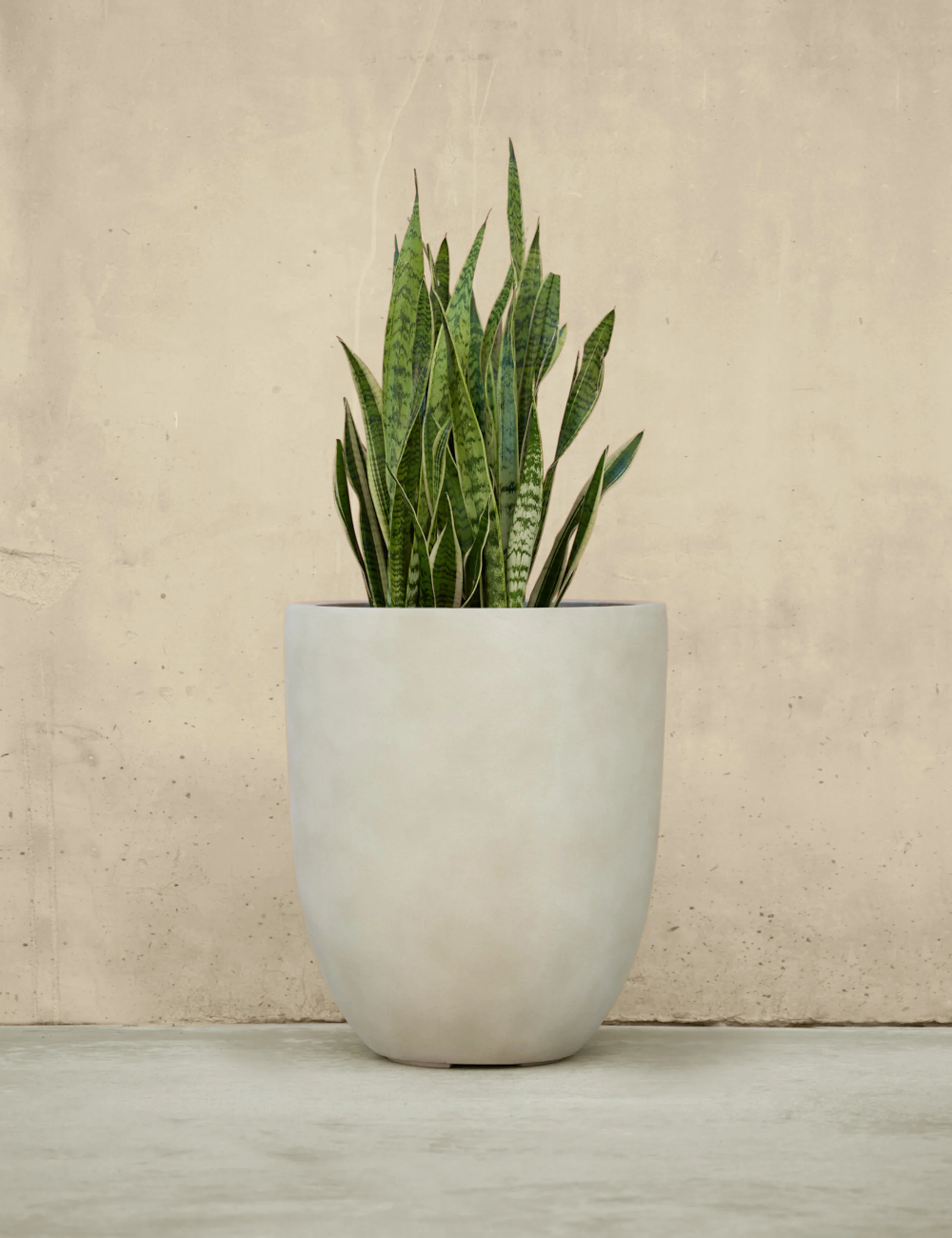 Bradford Planters by Campania International - Image 6