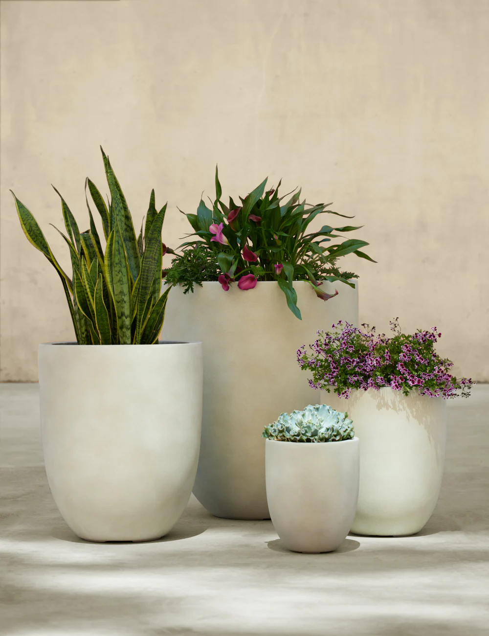 Bradford Planters by Campania International - Image 9