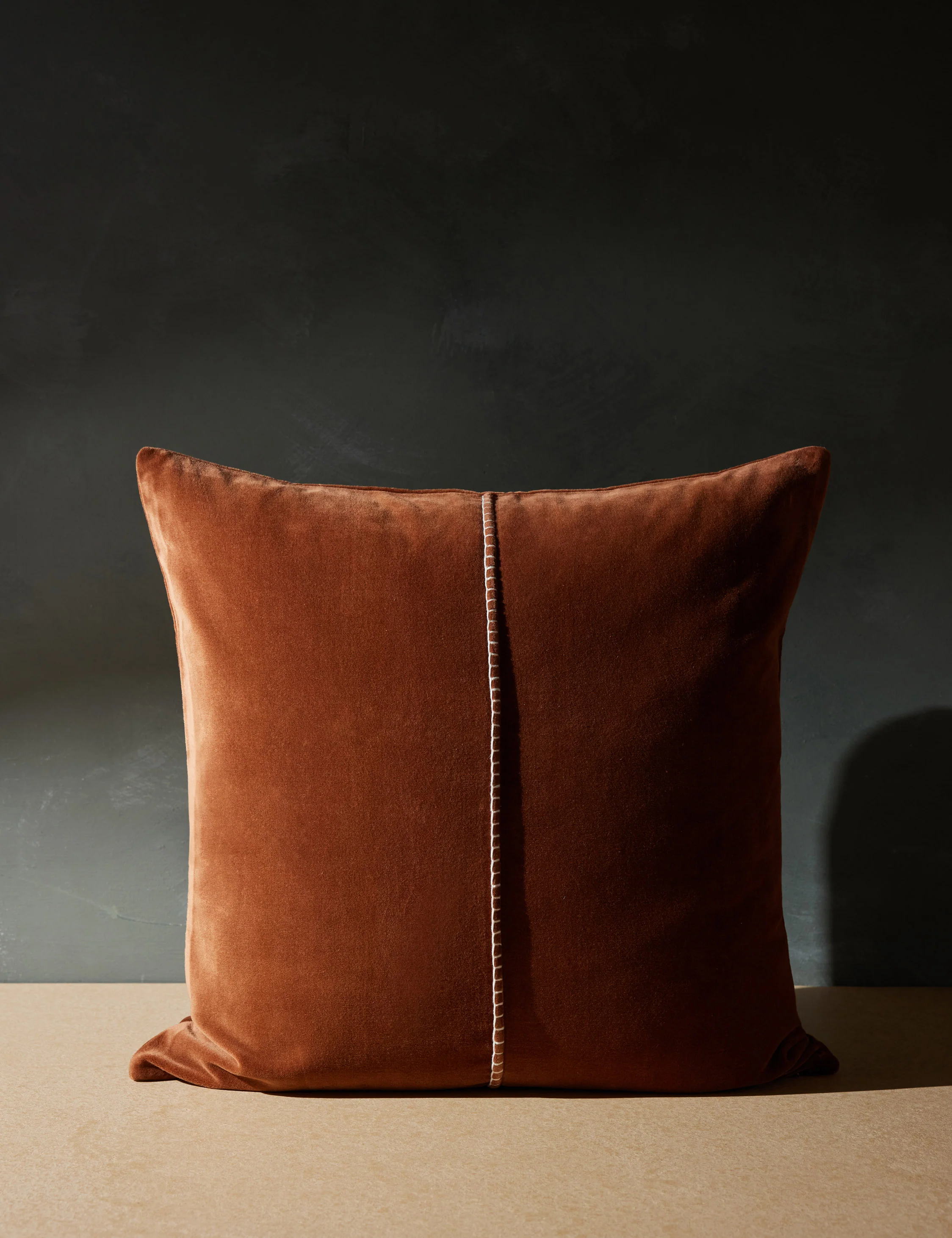 Caddie Velvet Pillow - Image 10