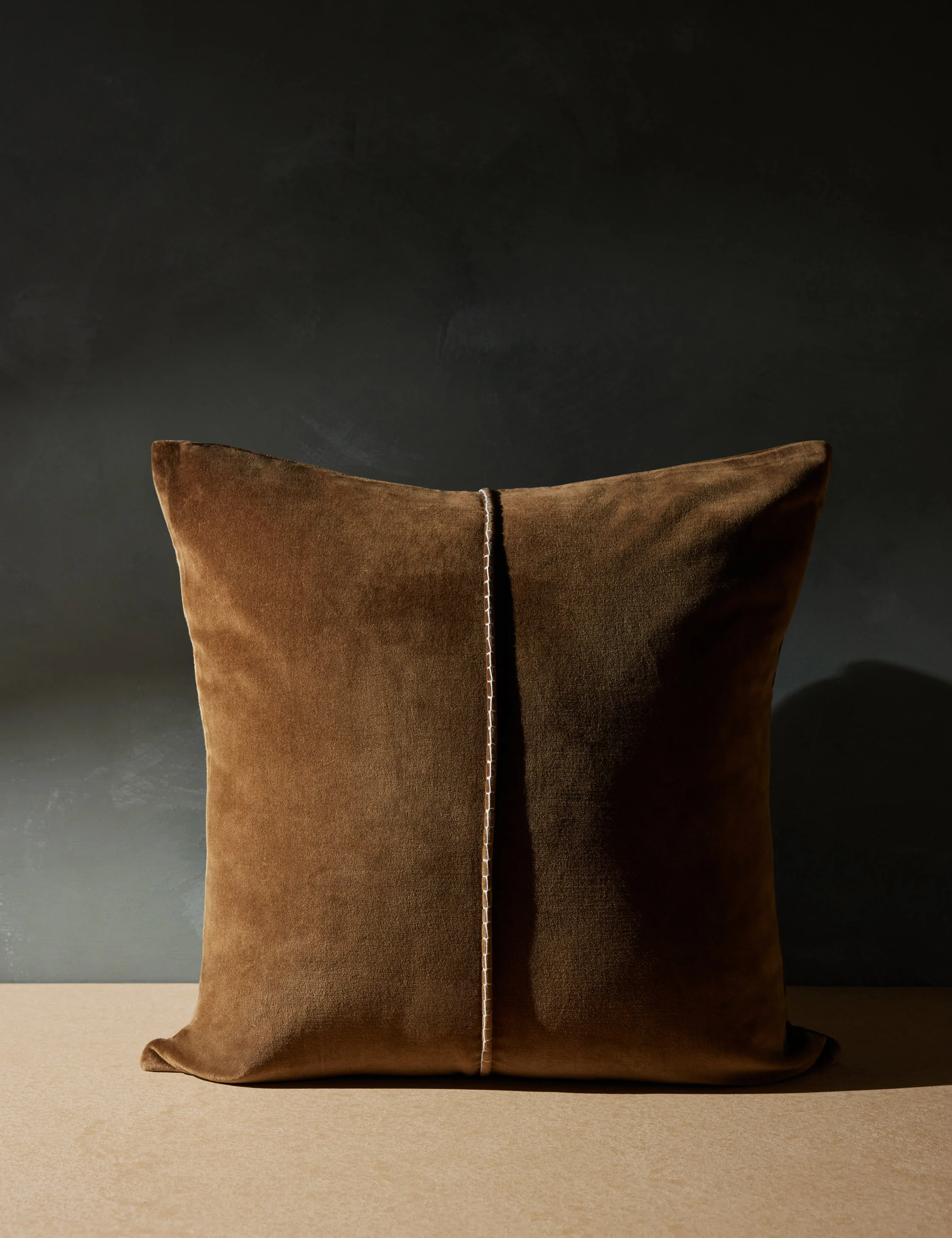 Caddie Velvet Pillow - Image 4