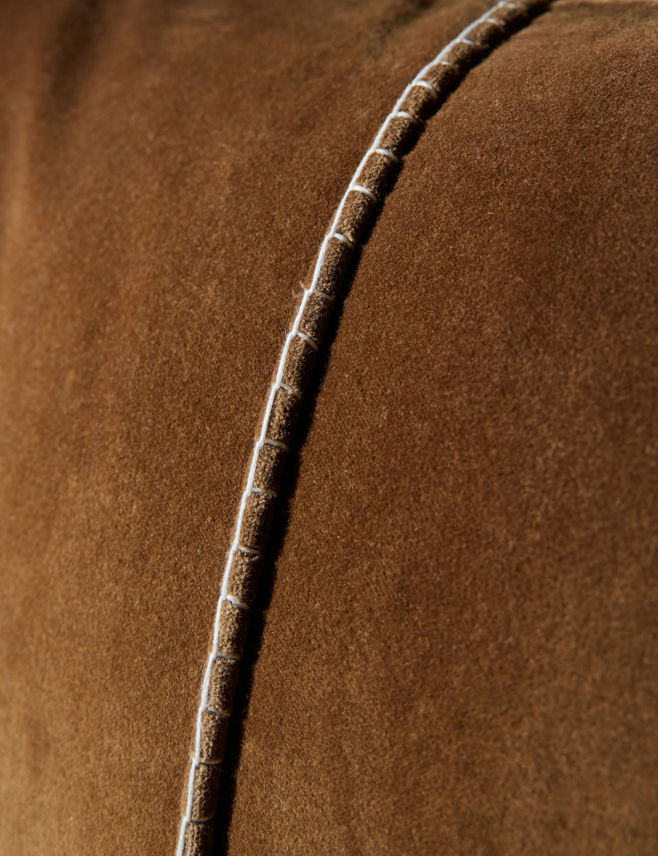 Caddie Velvet Pillow - Image 6