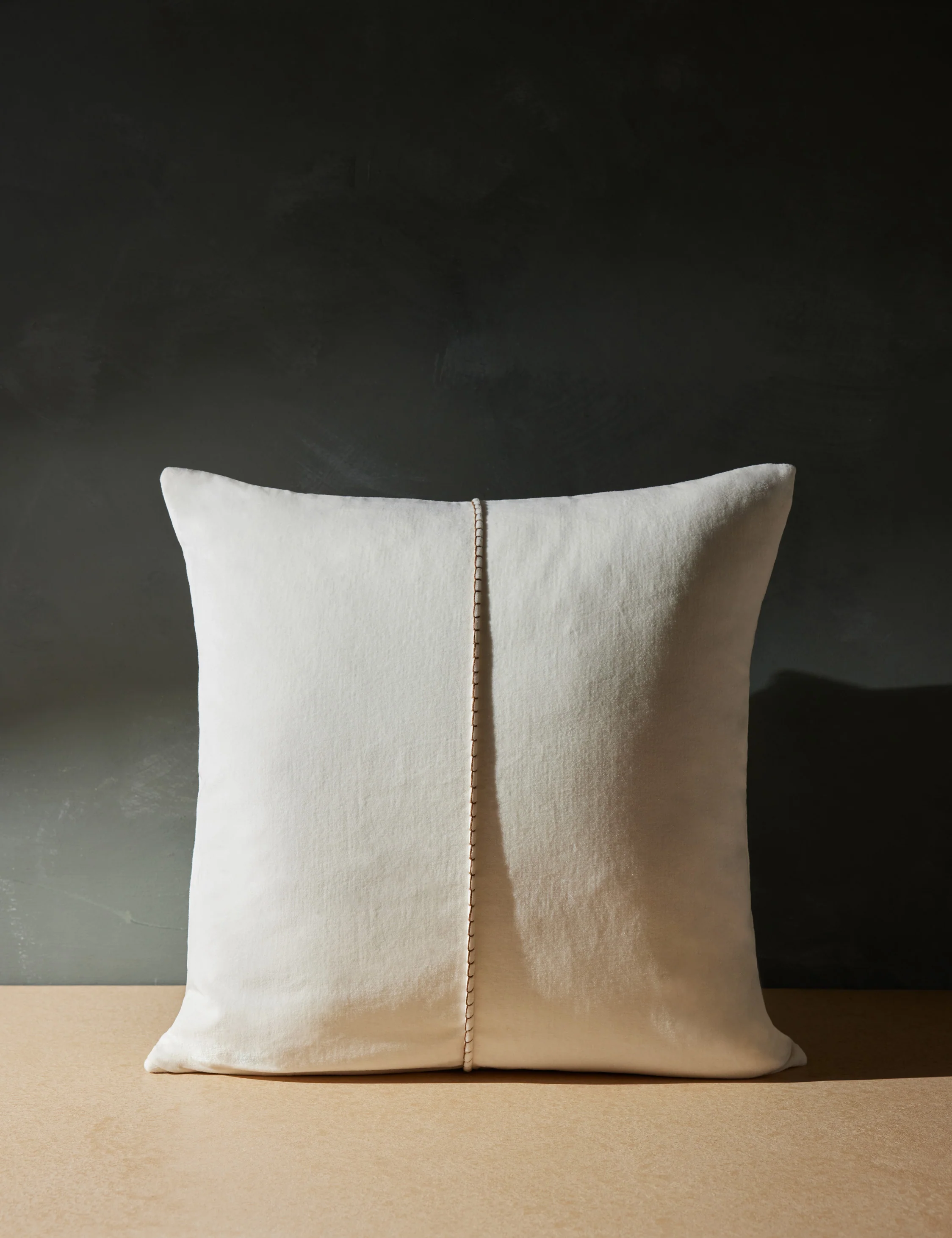 Caddie Velvet Pillow - Image 7