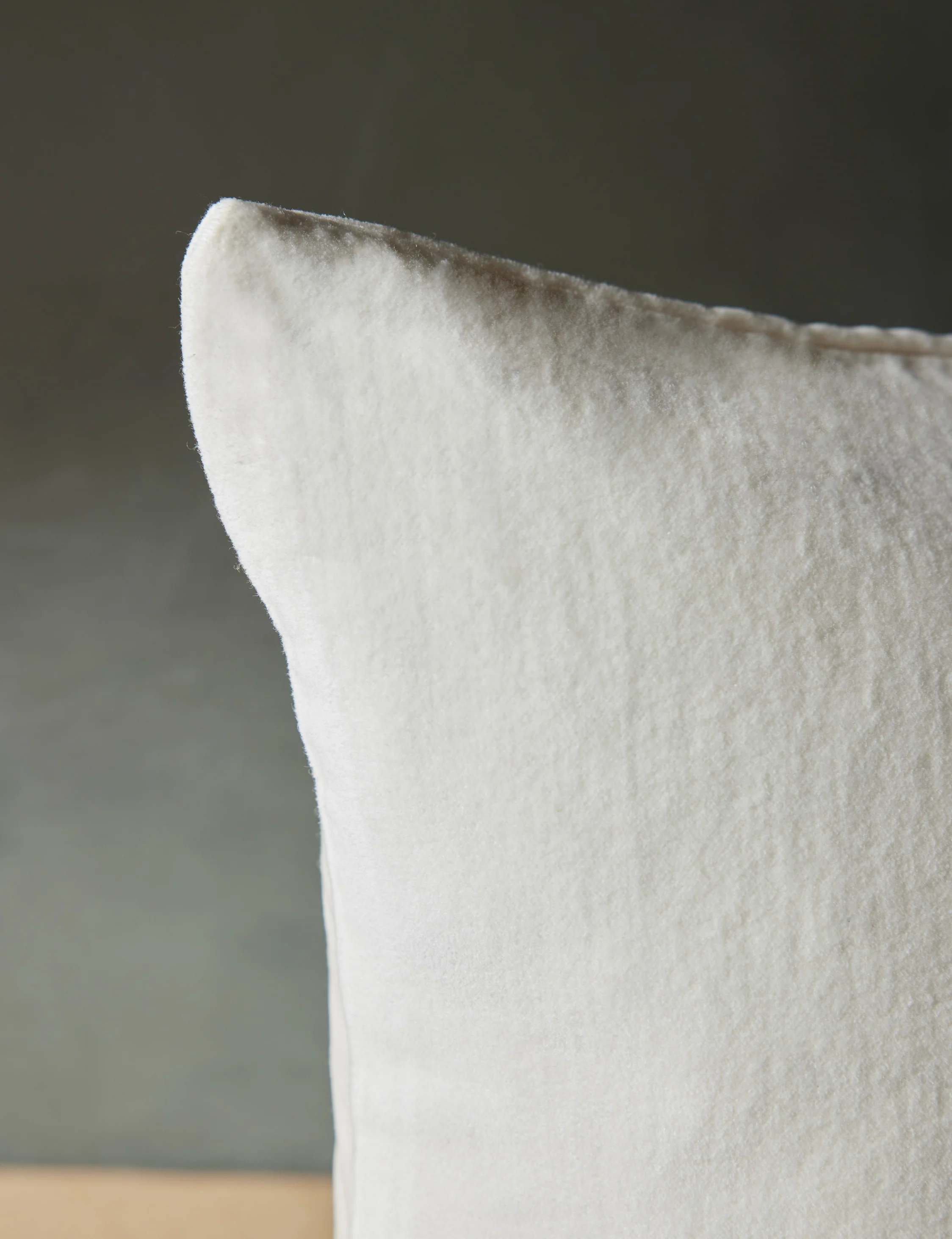 Caddie Velvet Pillow - Image 8