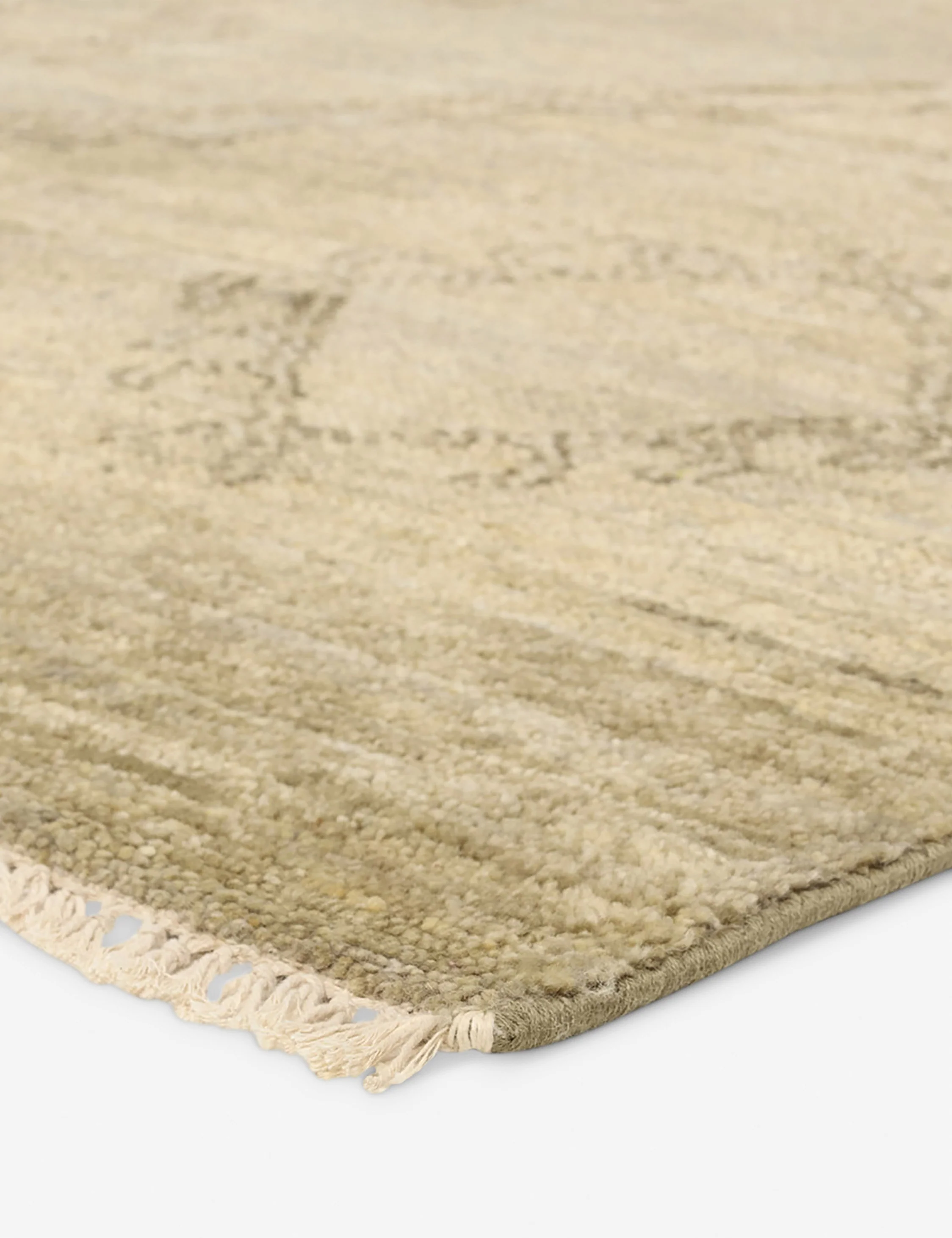 Camiola Hand-Knotted Wool Rug - Image 3