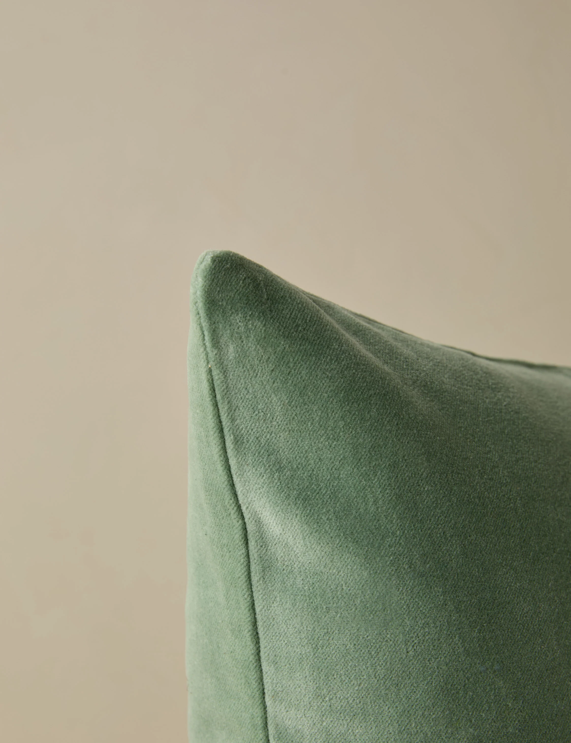 Charlotte Velvet Pillow - Image 109