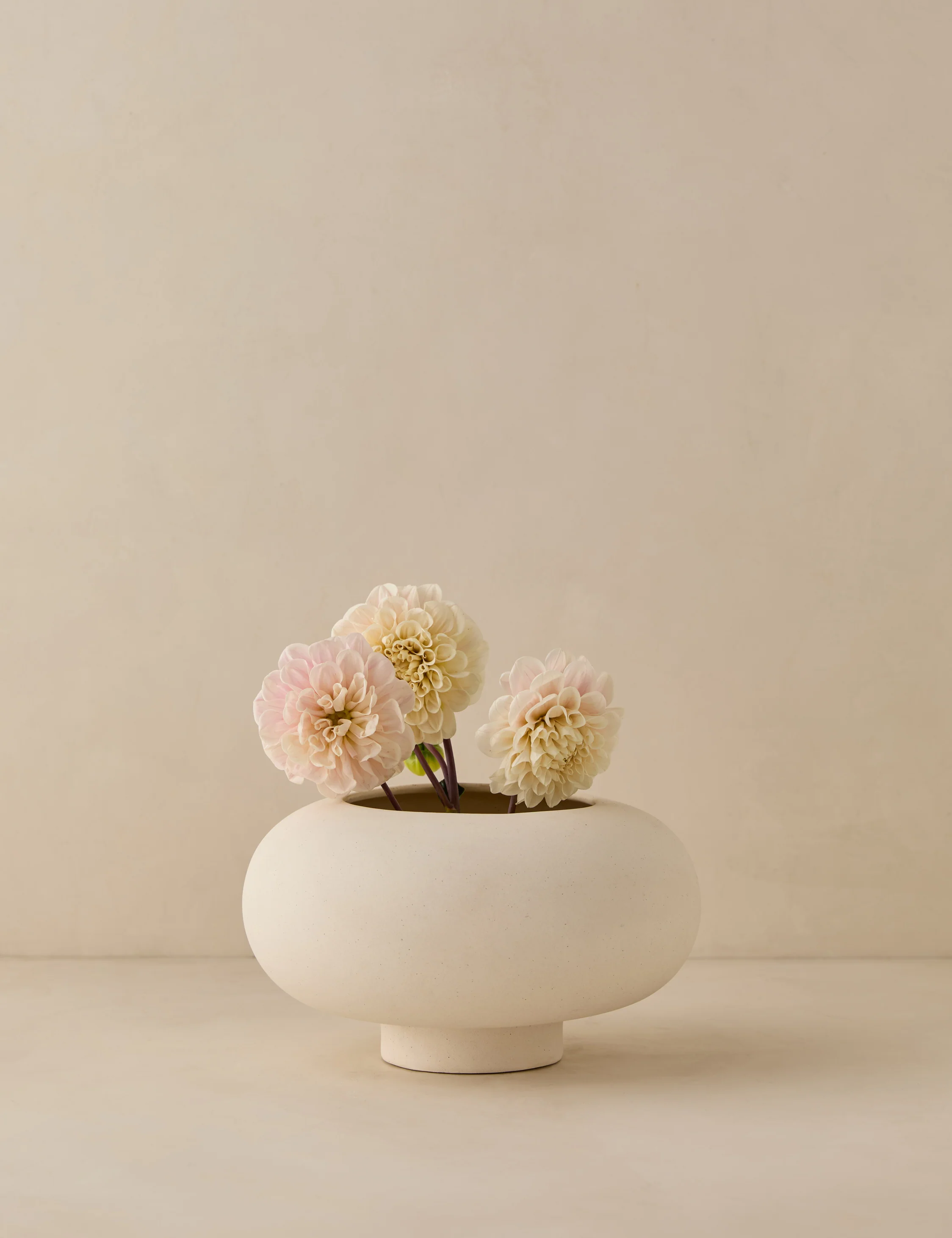 Coperta Bowl - Image 2