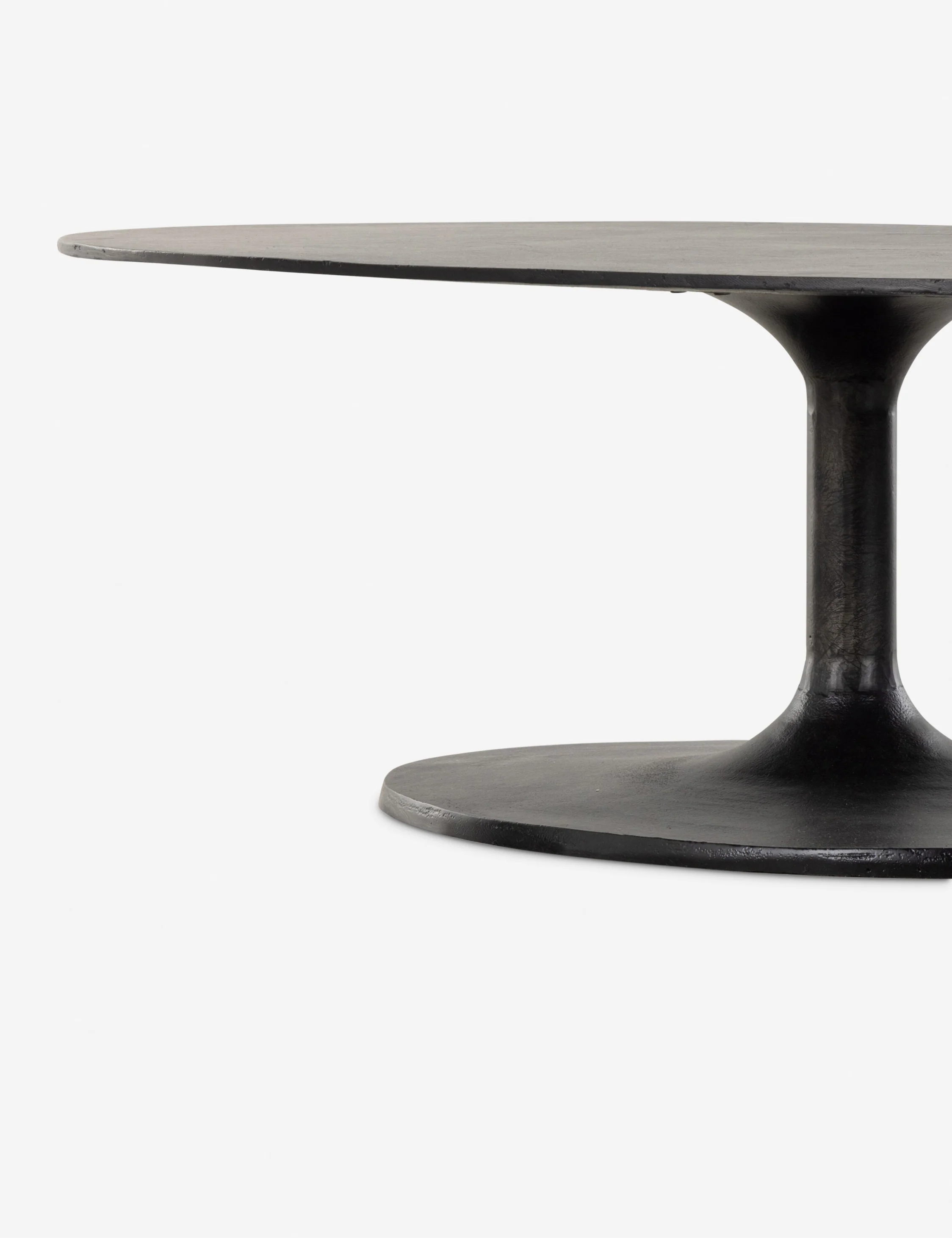 Inga Indoor / Outdoor Oval Coffee Table - Image 14