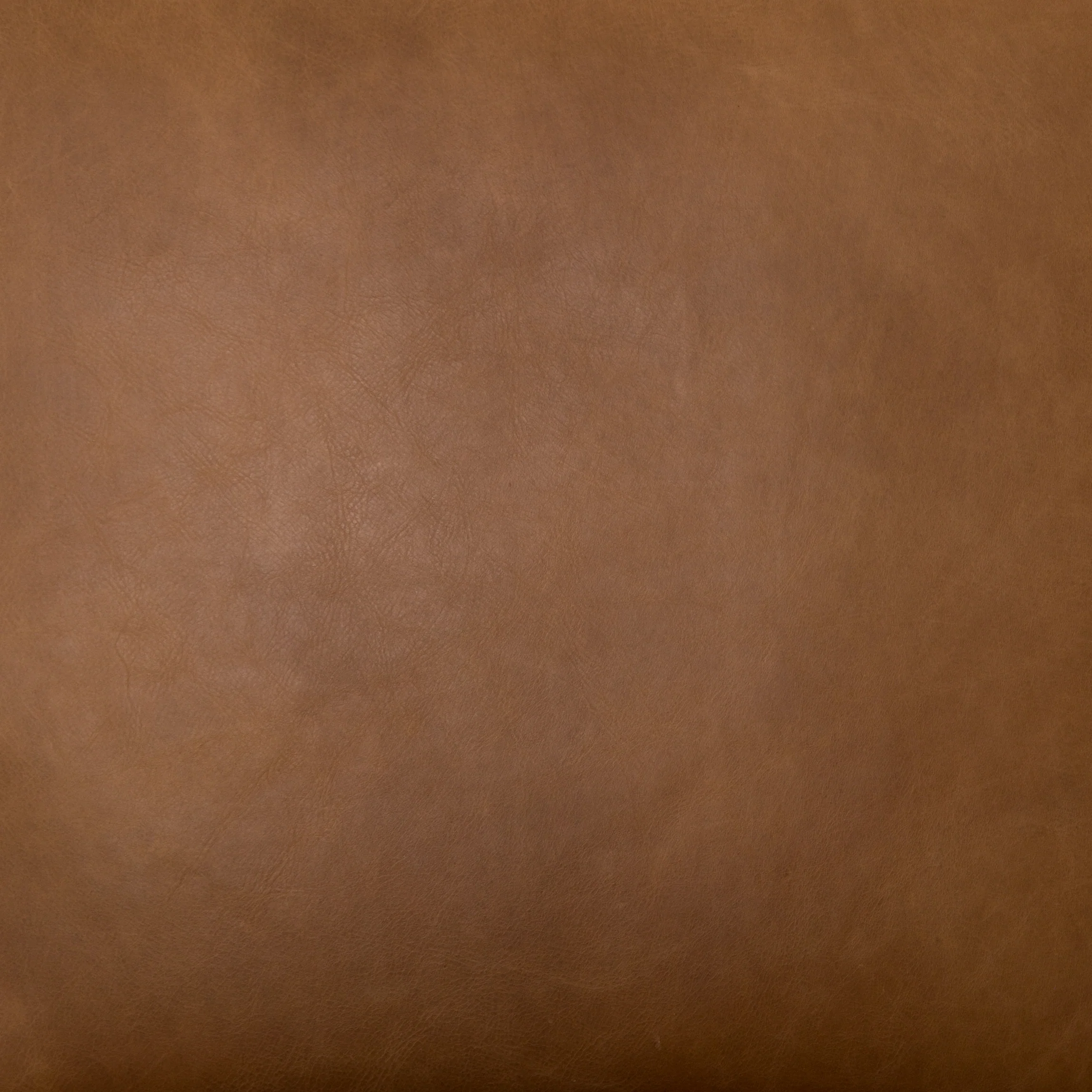 Kenneth Leather Chair - Image 9