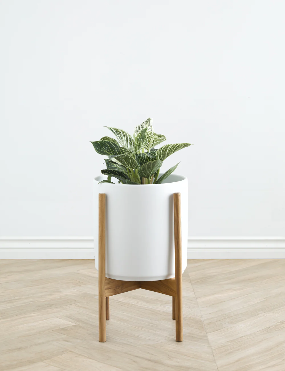 Ceramic Planter Pot + Teak Stand by LBE Design - Image 10