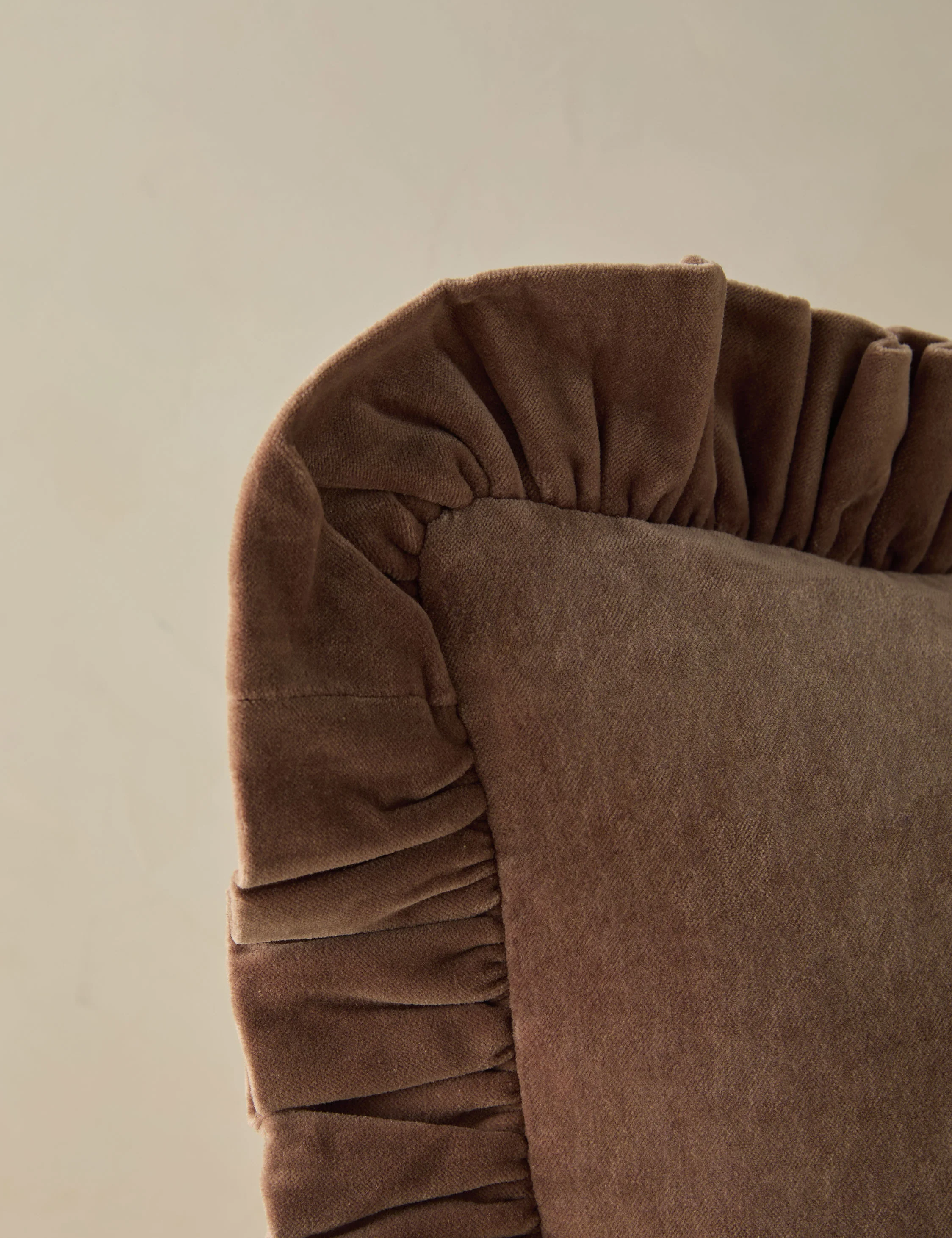 Mauree Velvet Pillow - Image 14