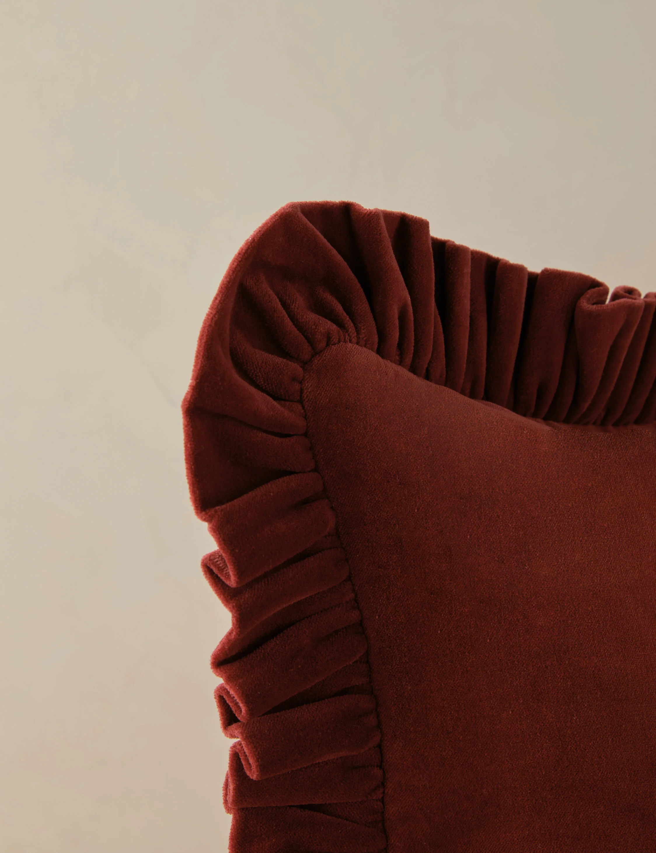 Mauree Velvet Pillow - Image 28