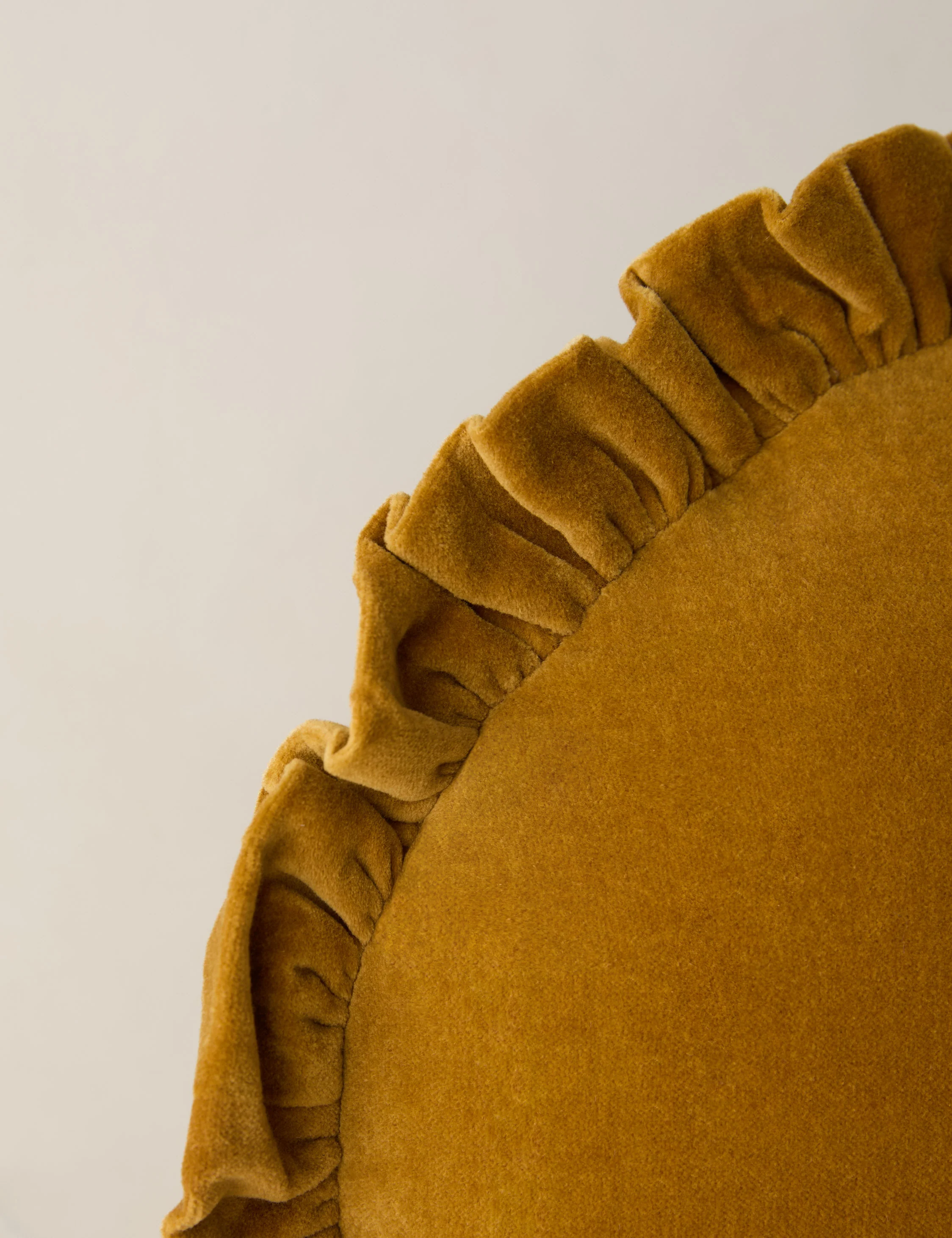 Mauree Velvet Round Pillow - Image 10
