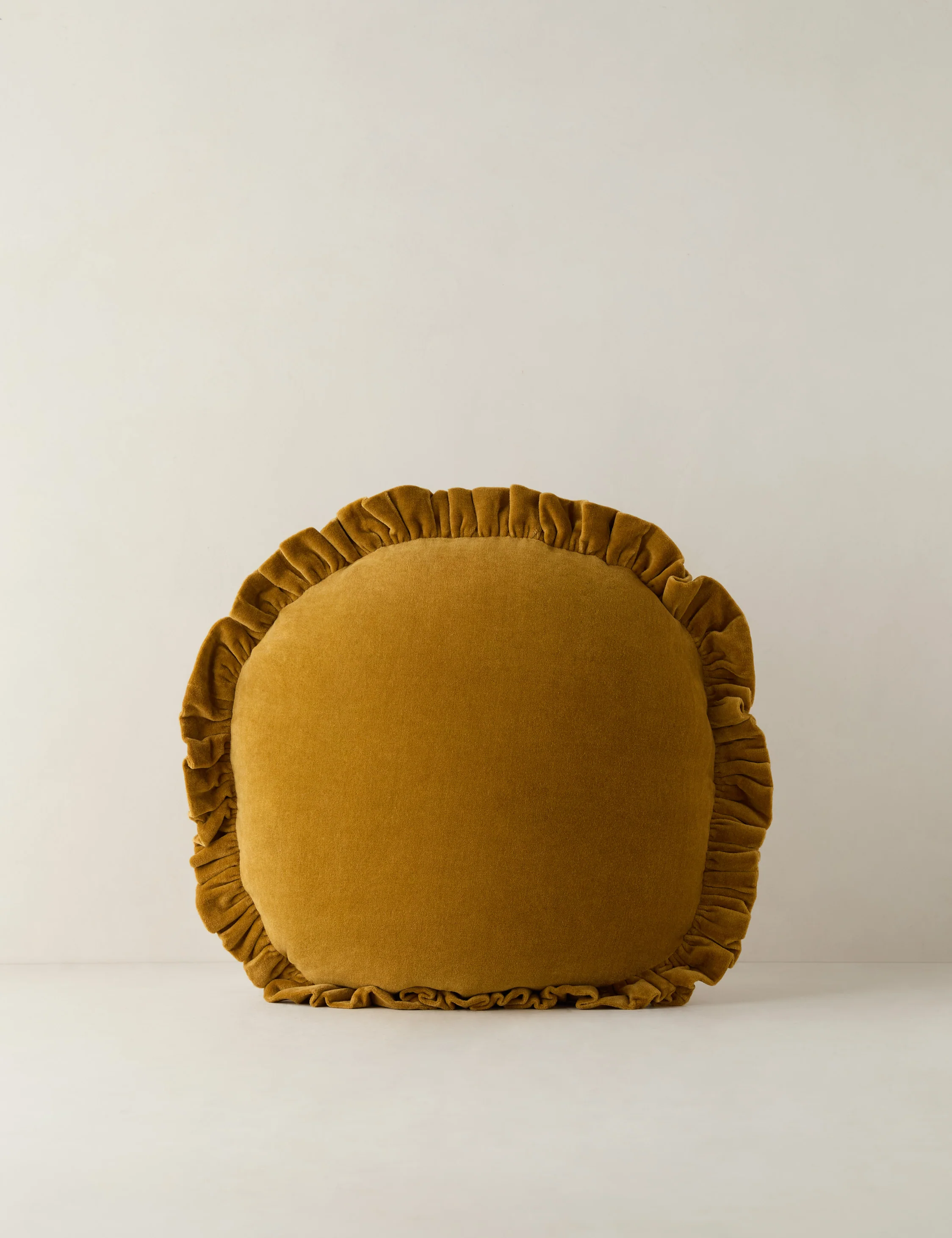 Mauree Velvet Round Pillow - Image 8