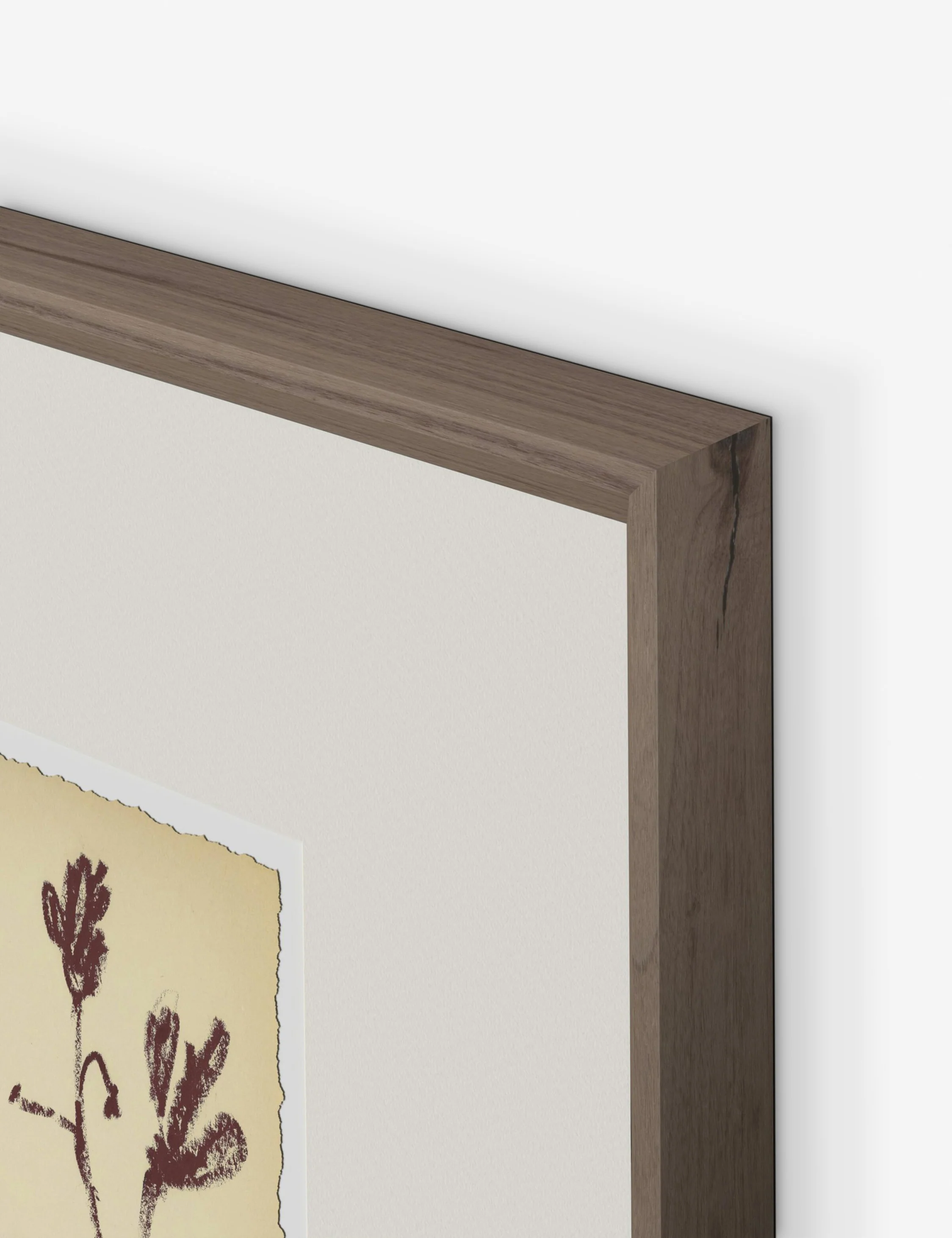 Meadow Rue No. 3 Wall Art by Shaina Page - Image 4