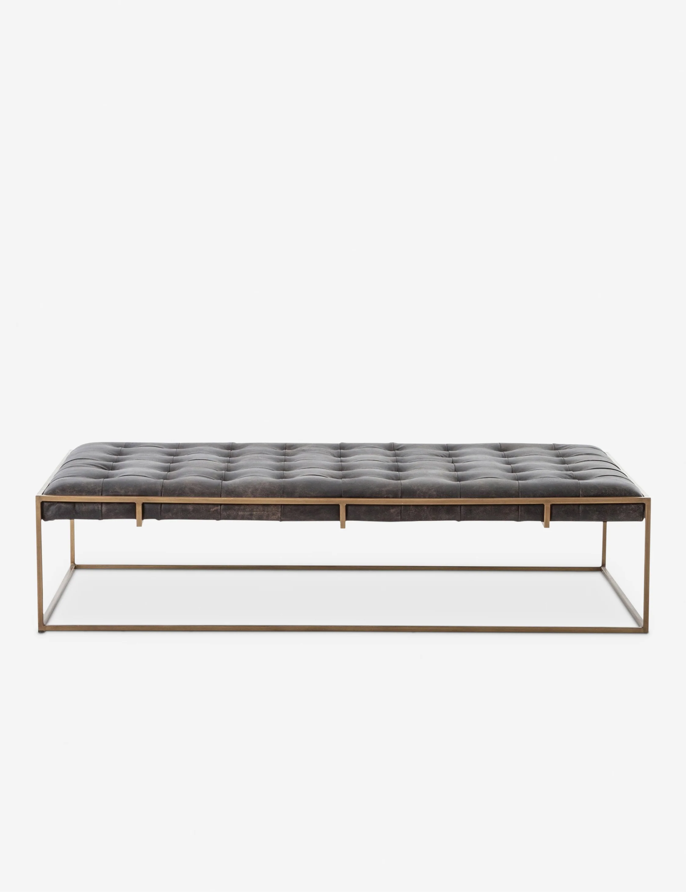 Olwina Leather Coffee Table - Image 8