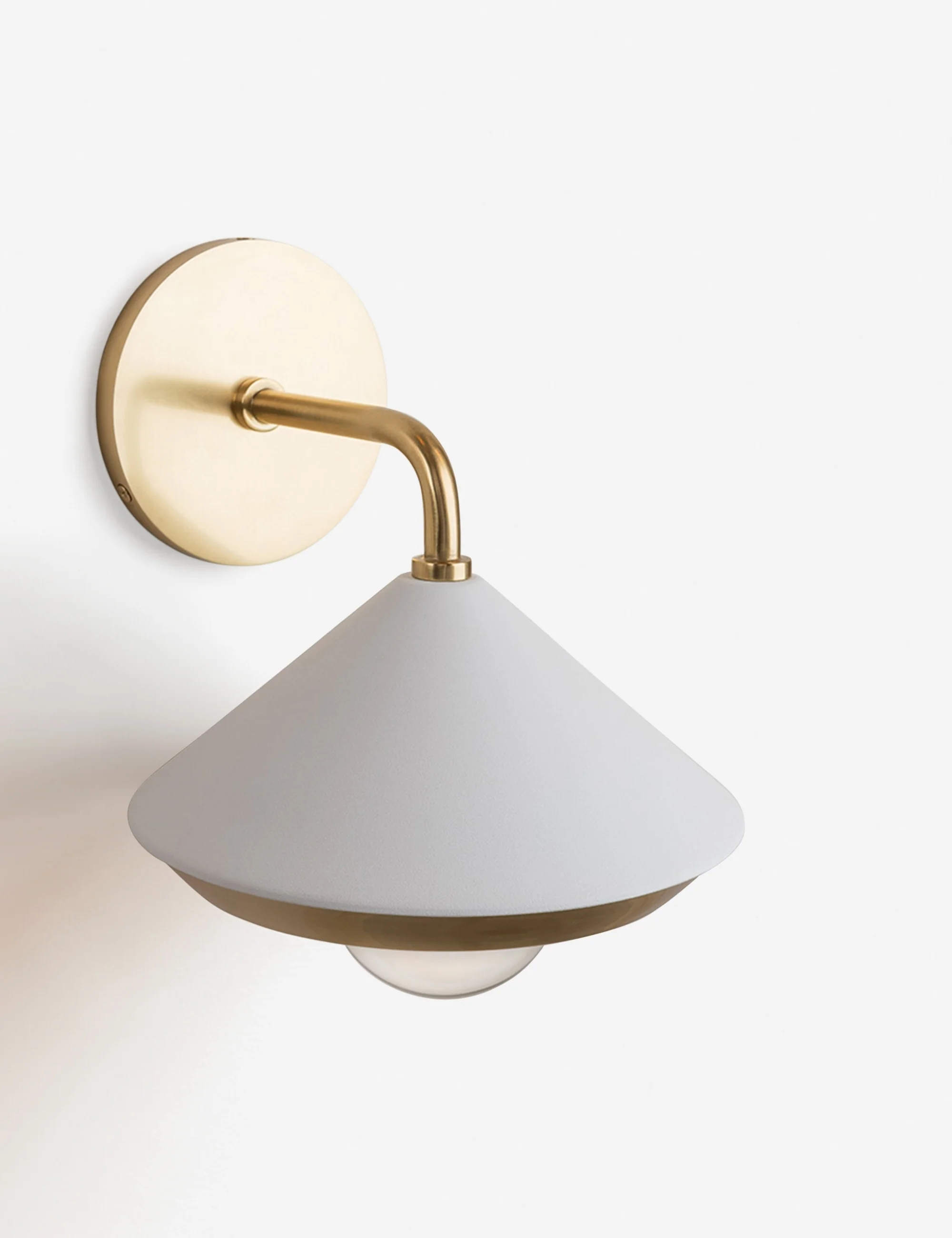Paola Sconce - Image 4