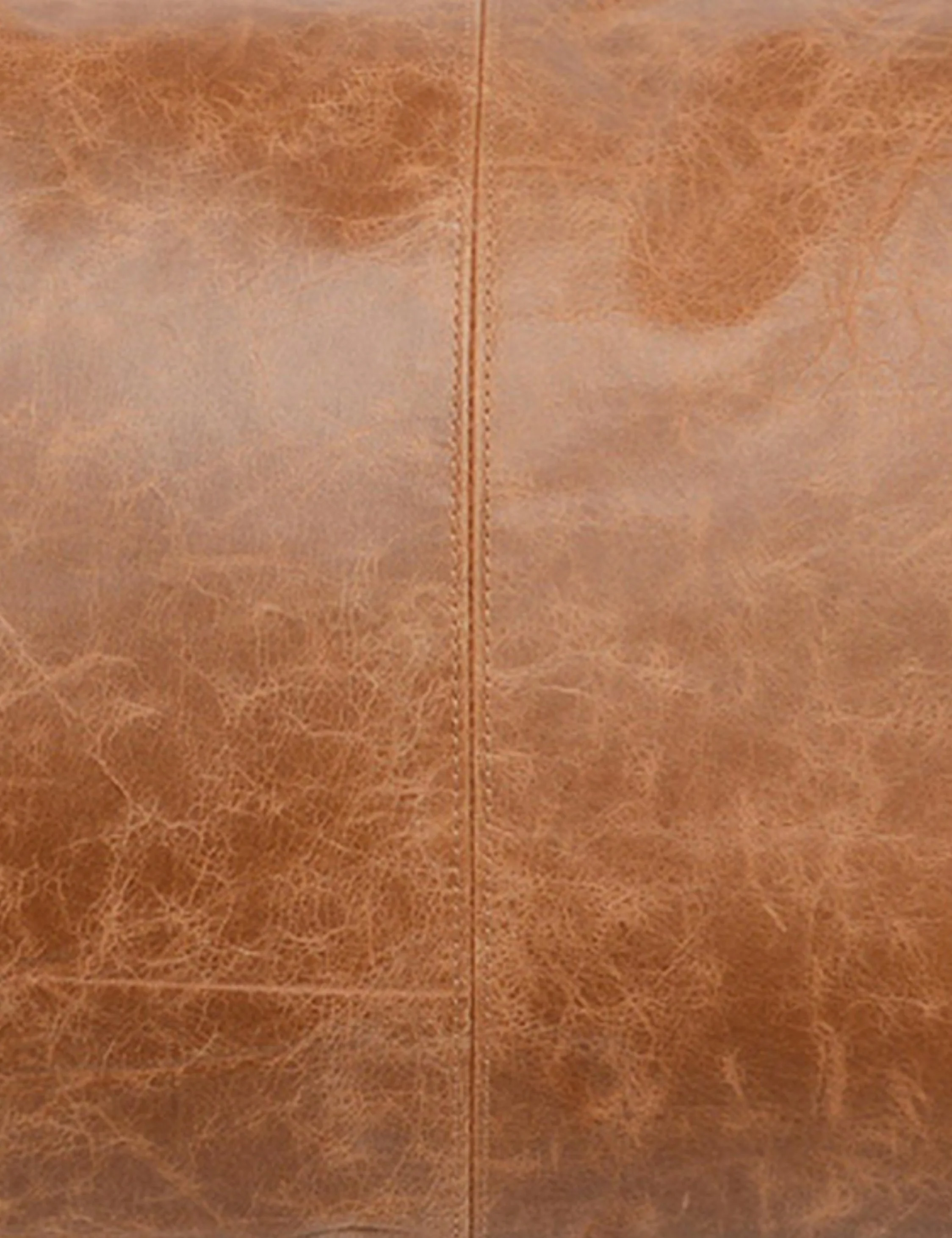 Sabrea Leather Lumbar Pillow - Image 6