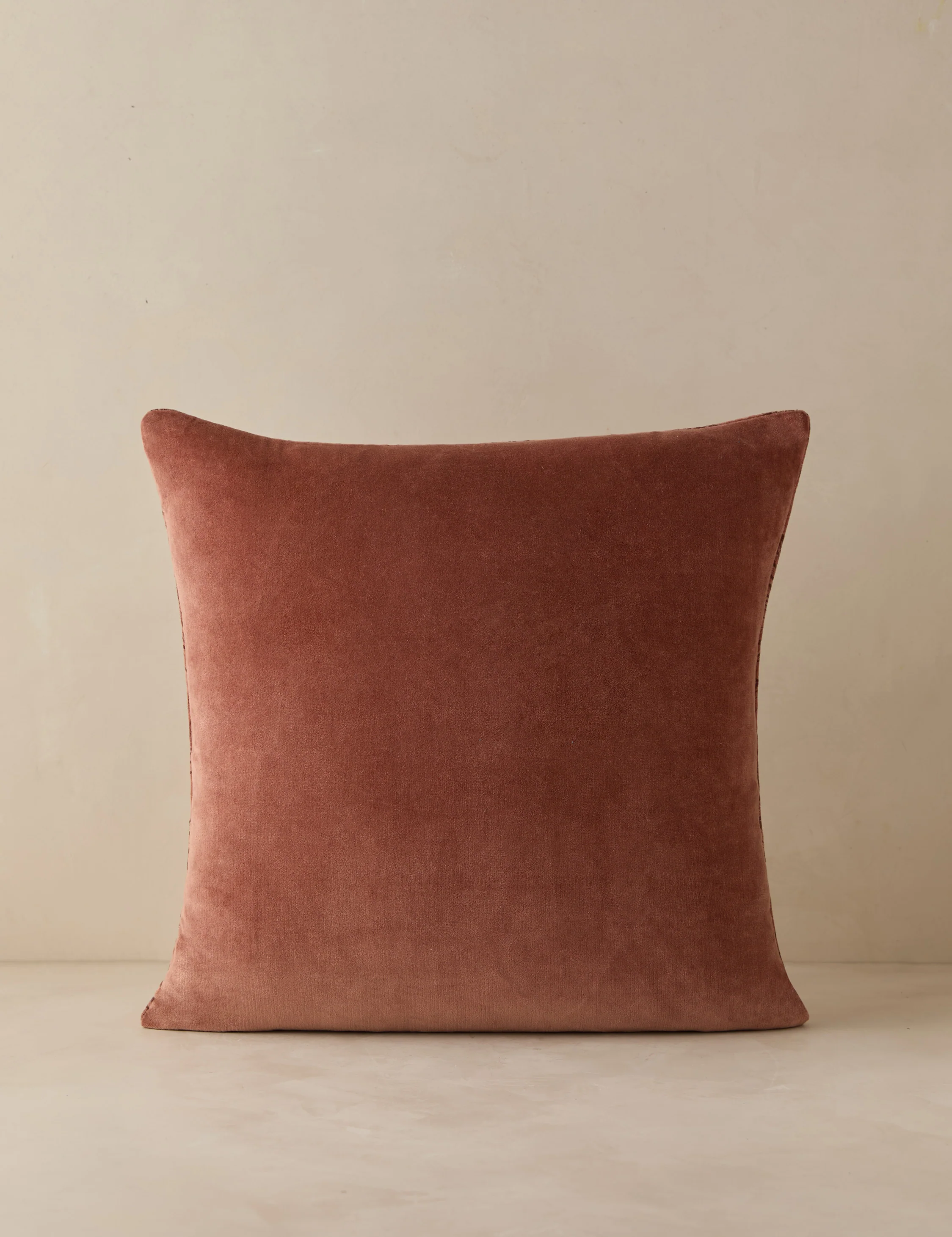 Sandell Velvet Pillow - Image 6