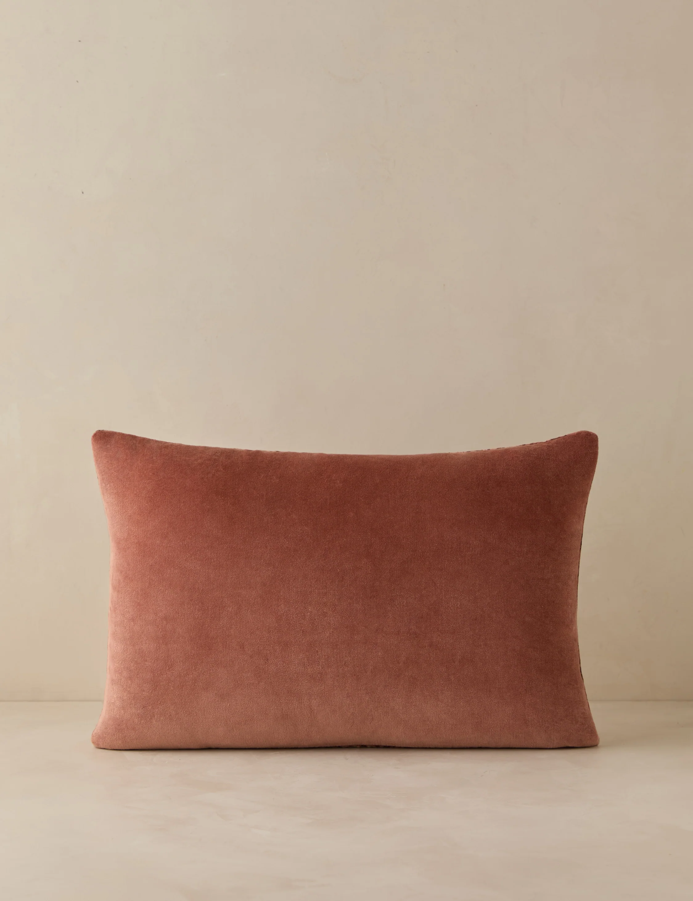 Sandell Velvet Pillow - Image 7